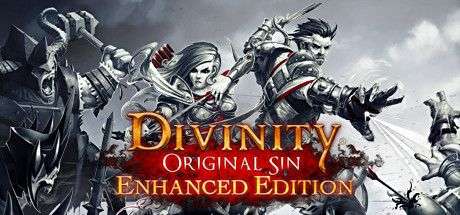 DIVINITY: ORIGINAL SIN Enhanced Edition + Подборка игр