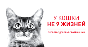 Royal Canin Coupons