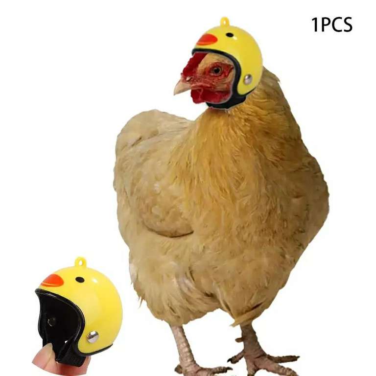 Шлем для куриц и других крупных птиц