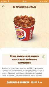 BURGER KING Coupons