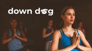 Бесплатная подписка на Down Dog для студентов и преподавателей