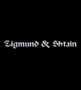 Бытовая техника для кухни Zigmund & Shtain: скидки до 25%
