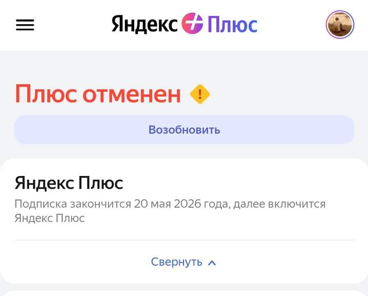 Яндекс Плюс Подписка Купить М Видео