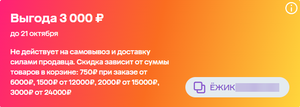 Персональный промокод 750₽ при заказе от 6000₽, 1500₽ от 12000₽, 2000₽ от 15000₽, 3000₽ от 24000₽