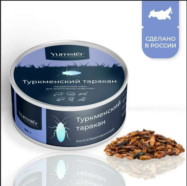 Туркменский таракан консервированный, 40 гр.