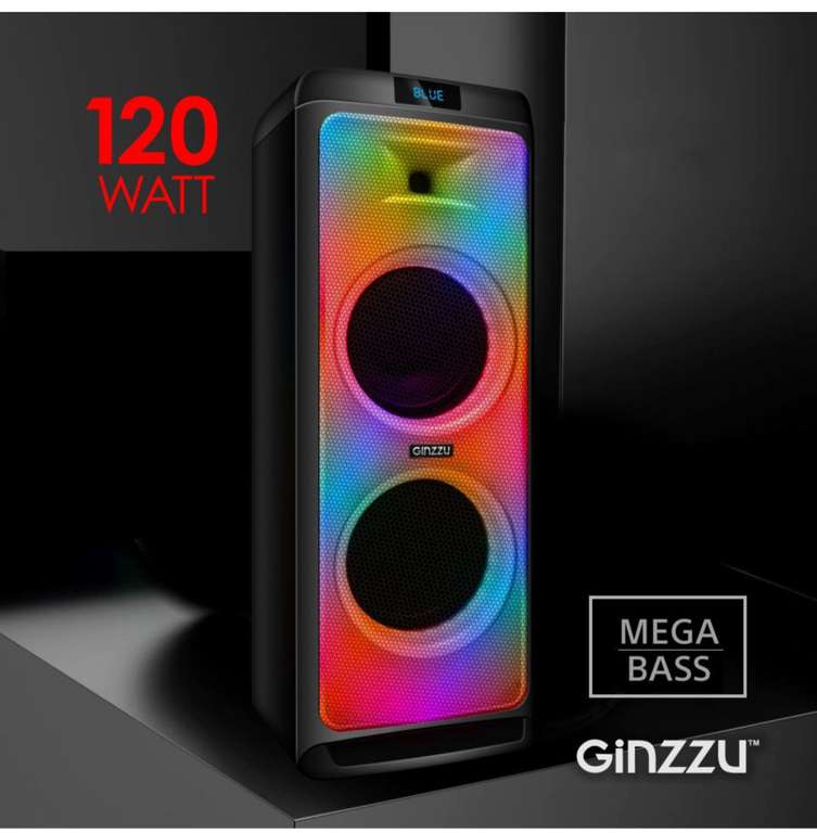 Беспроводная акустика Ginzzu GM-205 (цена с озон картой)