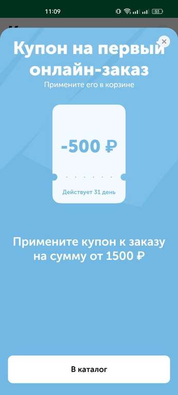Купон на ПЕРВЫЙ онлайн-заказ 500/1500₽ (в приложении)