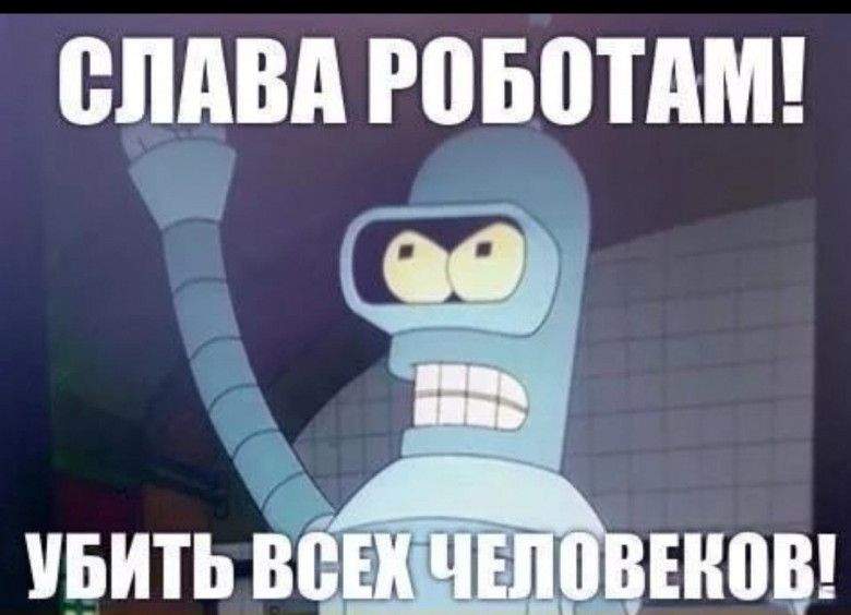 213339_1.jpg