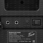Портативная аудиосистема Fiero Emotion 150 FR900, 160 Вт, черный