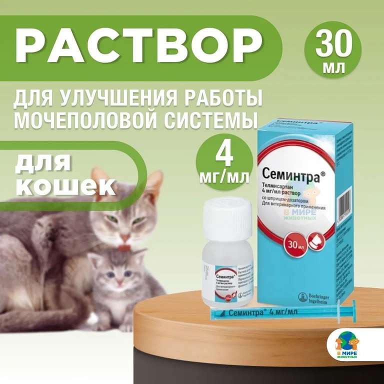 Семинтра для кошек, 4 мг/мл, раствор для перорального применения, 30 мл. Телмисартан.