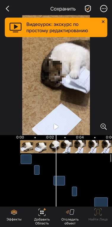 [iOS] Pixelify: Blur video & Photo