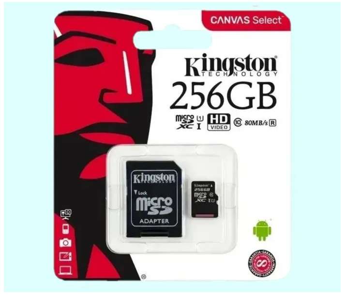 Карта памяти microSD 256 ГБ / microSDHC Canvas 256 ГБ / SDSa/bc (цена с ozon картой)