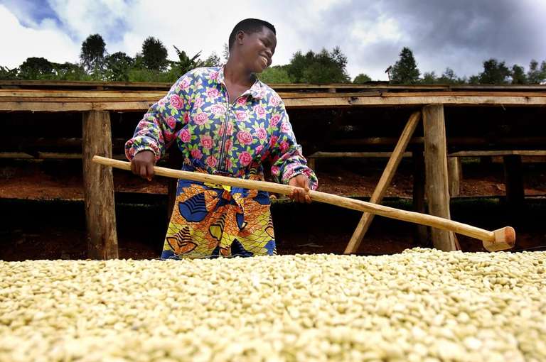 Кофе в зернах "Руанда Мараба Анаэробная" (QG88+) от TASTYCOFFEE, 1 кг (Для эспрессо)