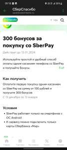 300 бонусов за первую покупку со SberPay от 100₽