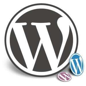3 премиум-темы Wordpress бесплатно