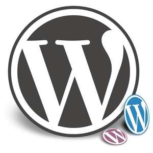 3 премиум-темы Wordpress бесплатно