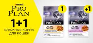 Pro Plan для котят 1+1