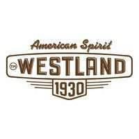 WestLand межсезонная распродажа до 60% ( Например, мужской жилет)