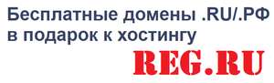 Бесплатный домен .Ru/.Рф на год при заказе хостинга от 12 месяцев (+40% скидка) от reg