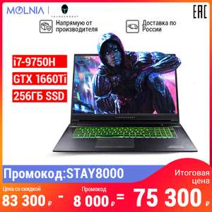 Игровой ноутбук THUNDEROBOT 911PLUS 17,3" IPS/I7-9750H/GTX 1660TI/8ГБ/256ГБ SSD+1ТБ