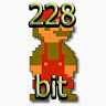 228bit