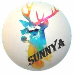 SunnyA_