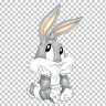 Mr_Bunny