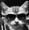 CatBayun аватар