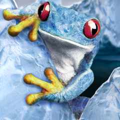 IceFrog