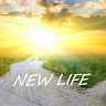 NewLife_