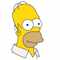 Homer-J-Simpson аватар
