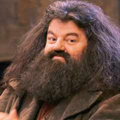 Hagrid аватар