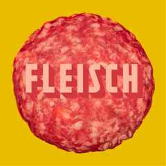 DenisFleisch