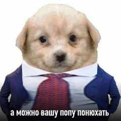 Petya_Samokat аватар