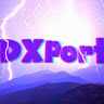 DXPort_Show